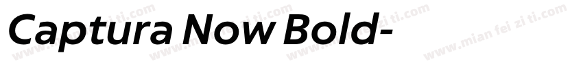Captura Now Bold字体转换